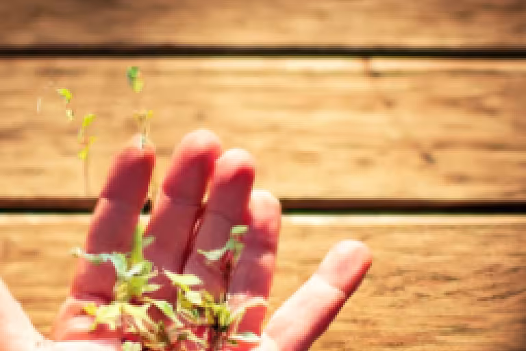 Sustainable Gardening: Practices for a Greener Future