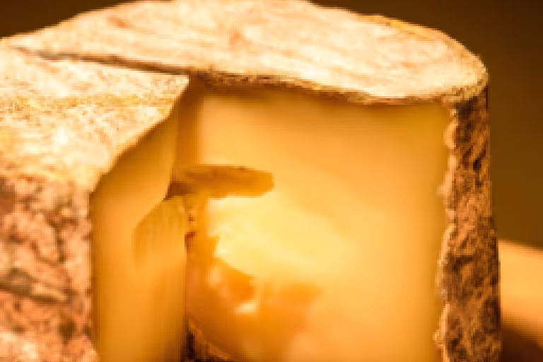Cheese in France: A Culinary Legacy